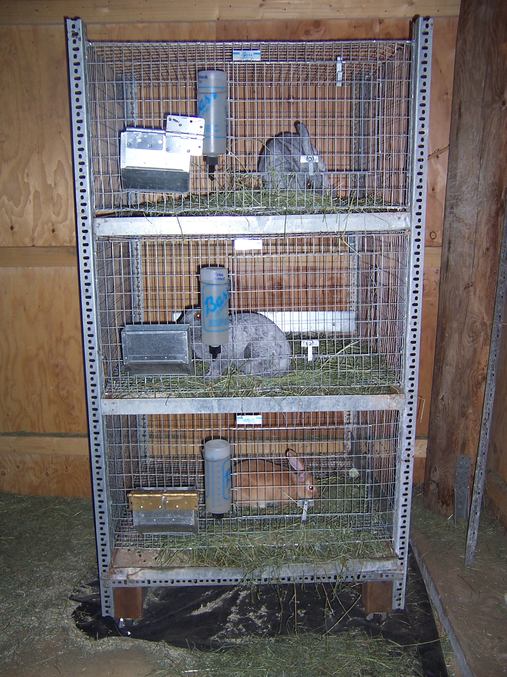 Our first set up involved stacking three of these cages with metal    hardware cloth rabbits